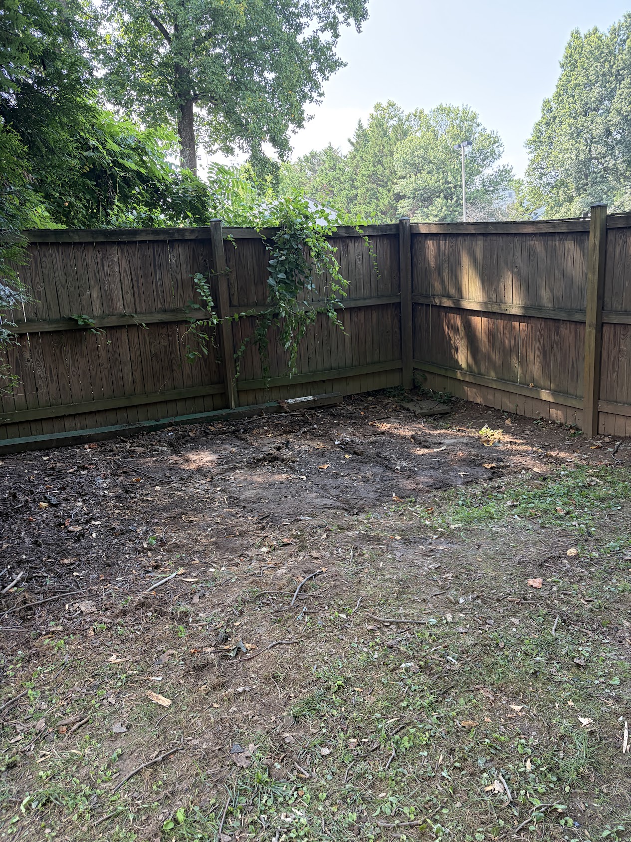 Shed Demolition — After — Silver Spring